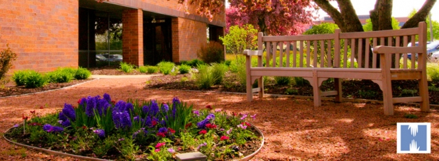 picture of a garden