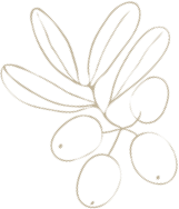 olive cluster
