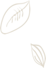 two leaves