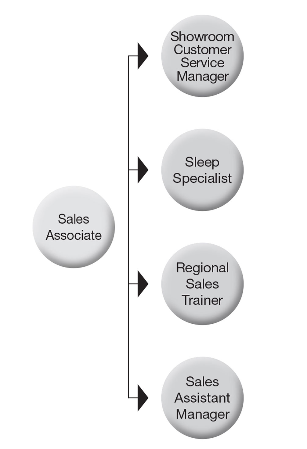 career growth map