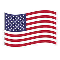american flag icon