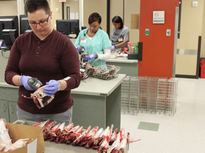 women working with donated blood